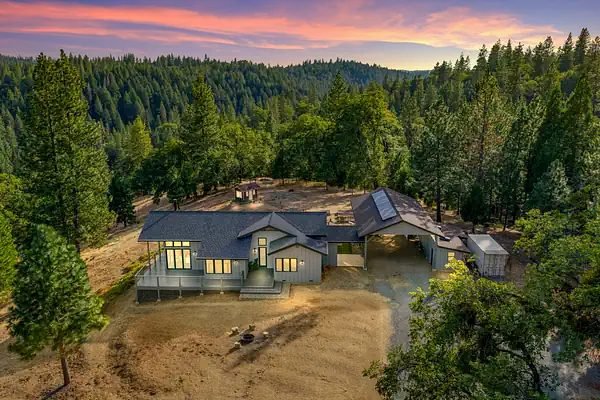 Aerial view of a home surrounded by pine forest